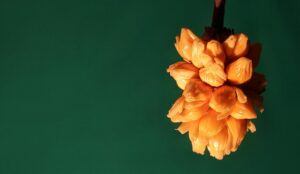 G226a70454af0be3bbd74808f196510ce341b0815cfc7d482e40c045d301066c4a4d757f3857bafdd6da66ecd7517b9058833fde5fc3eafb9bd93531b8d07841e 640